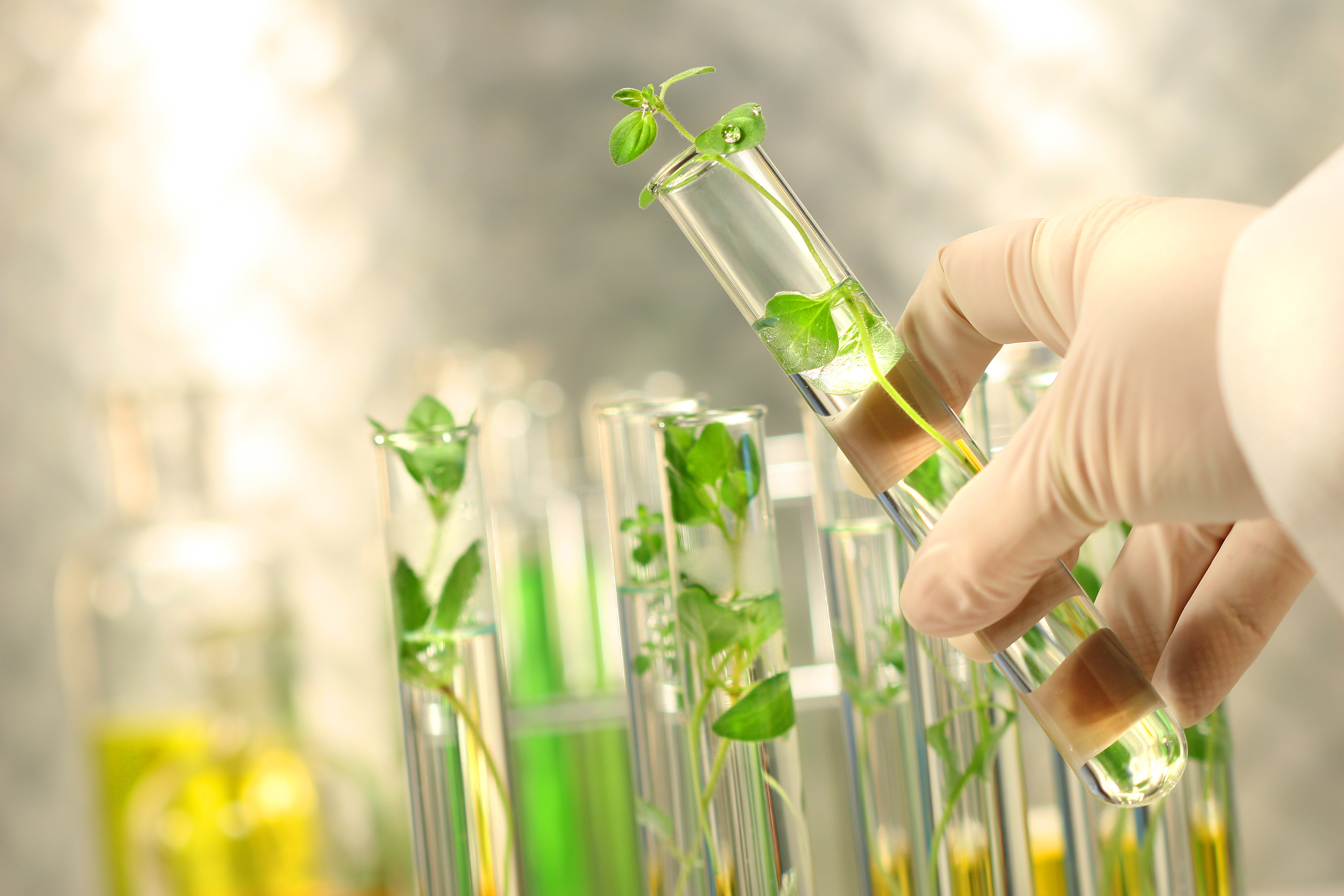 IranLebanon Plant Biotech Cooperation Financial Tribune